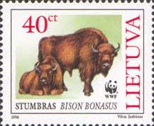 Bison 1996 30C 40C