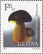 Species - Mushrooms 1997