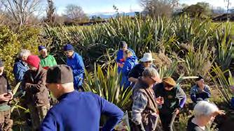 Conservation Volunteer Activities October Nelson - November / Tasman 2018 Top of the South Welcome to the October - November conservation volunteer activities newsletter for the top of the South