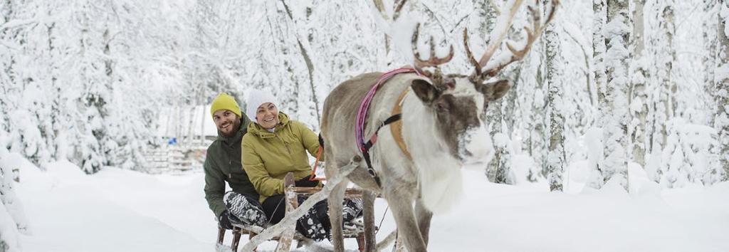 Transfers to and from between the reindeer meeting point and hotel reception by minibus Guidance Getting to know the reindeers An introduction to the daily lives of reindeer farms and