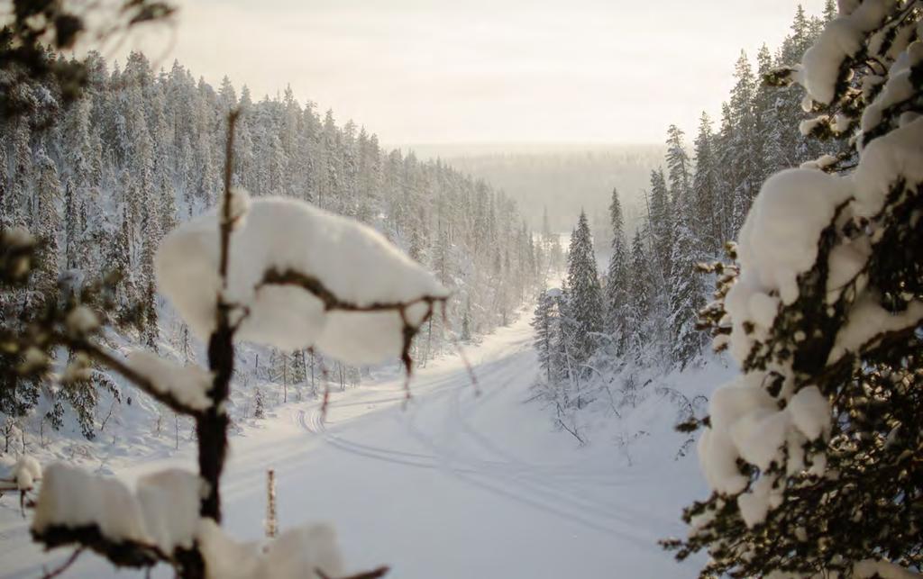 Lappish Hell Canyon Thursday at 10:00 This trip takes us through a small narrow path in the snow to an ancient sacred place located some 35km from the