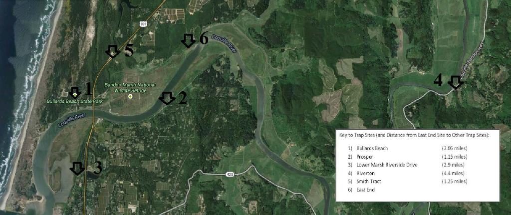Map 1 Adult Trapping Sites in