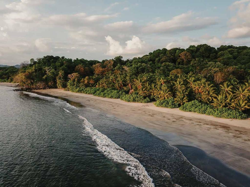 Jet off to Panama s pristine Pacific coast where romance and relaxation come easy. With only a handful of Beachfront Casitas at Isla Palenque, we ve got ultimate intimacy down to a fine art.