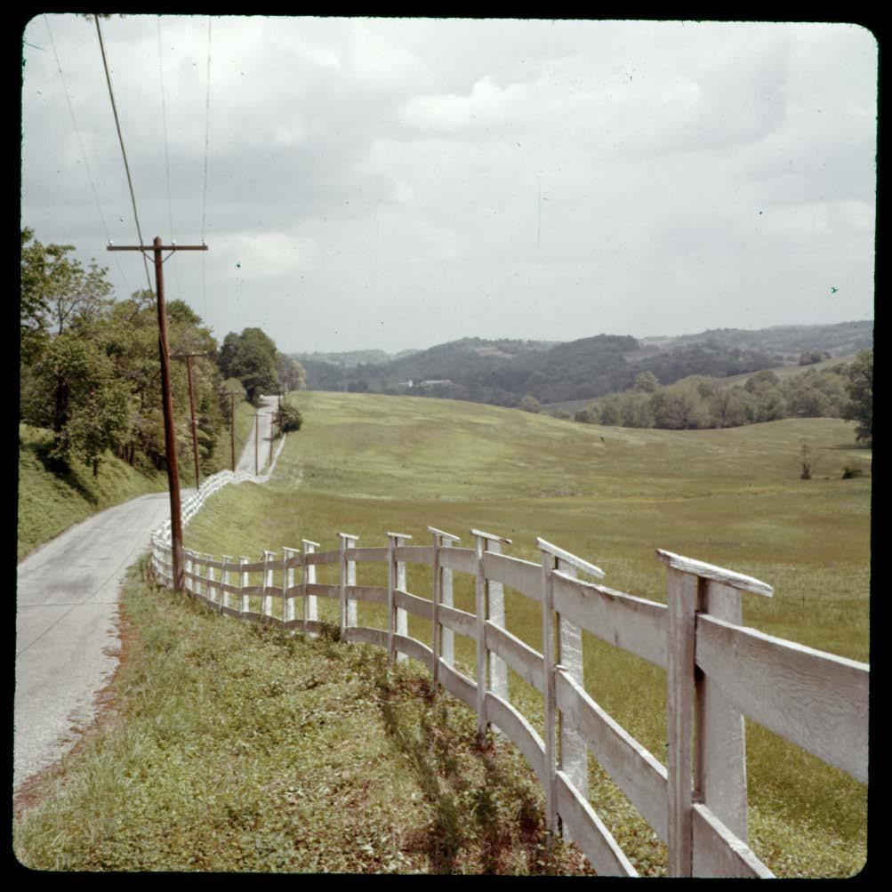 View of dupont estate (Granogue) May 17, 1959, on