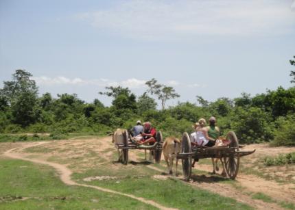 ACTIVITY SIEM REAP OX CART IN THE COUNTRYSIDE In Khmer, this means of transport is called Rotes Koh, which literally translates as ox cart.