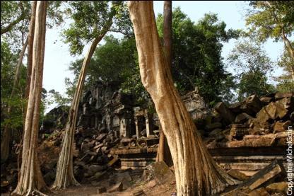 ACTIVITY SIEM REAP VISIT BENG MELEA Built in the nineteenth century, Beng Mealea has many similarities in terms of style and layout with the Angkor Wat
