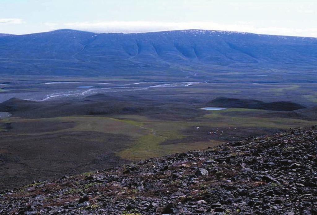 Vegetation development in high arctic Fig. 0. 89 The II (center of the picture) and the III stage (the leftmost part of the picture) moraines.