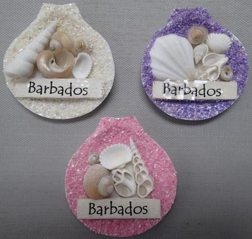 ) SCALLOP WITH SHELLS & MAGNET INV# I-1505