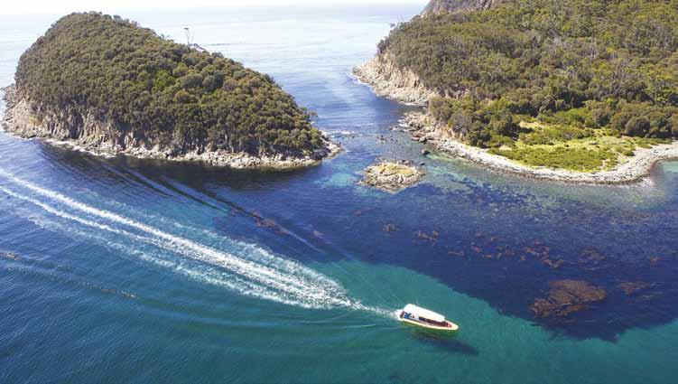 Essential Experiences Bruny Island Cruise Port Arthur Historic Site Cradle Mountain Tasmanian Devils 1. MONA The Museum of Old and New Art (MONA) in Hobart is a must see.