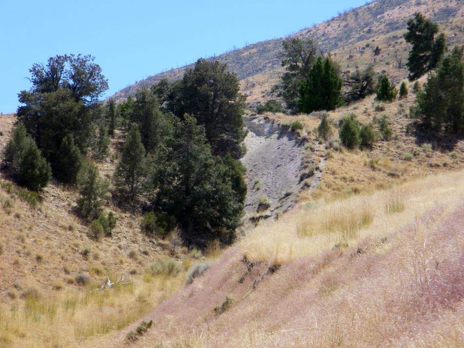 A few miles south of the highway is surface evidence of the Fairview Peak fault s December 1954 earthquake, which had registered a magnitude of 7.