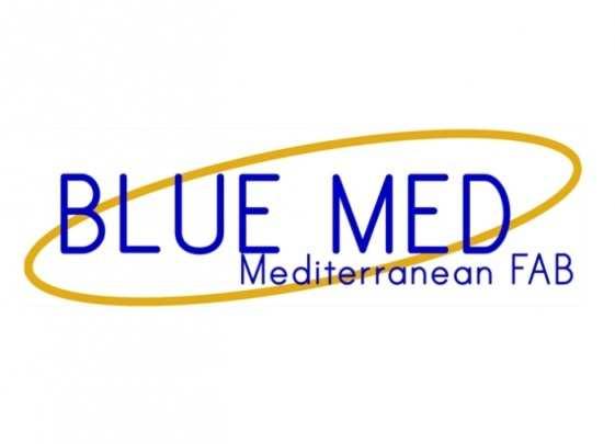 BLUEMED is the Mediterranean FAB (Italy, Greece, Malta and Cyprus). It is an initiative opened to the participation of other neighboring countries.