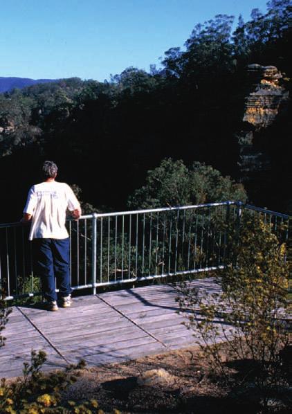 If you d like to find out more information about the Greater Blue Mountains World Heritage Area, the Office of Environment and Heritage features extensive information on its website at www.