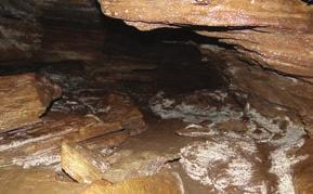 bats. The Karbel cave is 62 metres deep and is the only one of its kind in