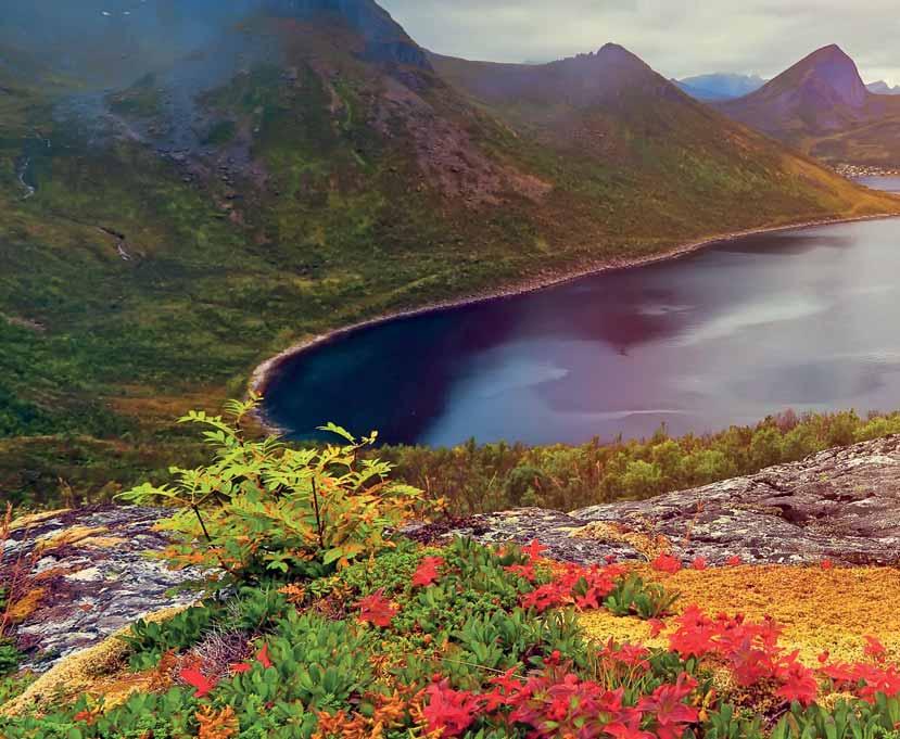 SEPTEMBER OCTOBER Experience coastal Norway at its most naturally colourful when
