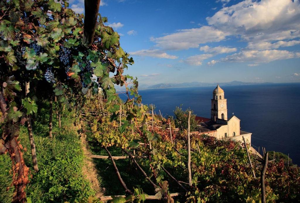 Positano & Amalfi Tour and Wine Tasting in Marisa Cuomo s Wine Cellar Visit wonderful Positano and Amalfi and taste the wine made by one of the most prestigious producers in Italy The tour Includes: