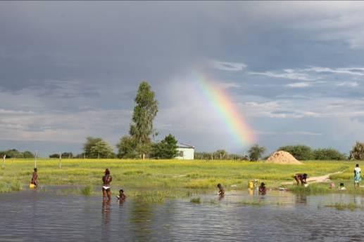 At midday we reach the Okavango River and explore this special area.