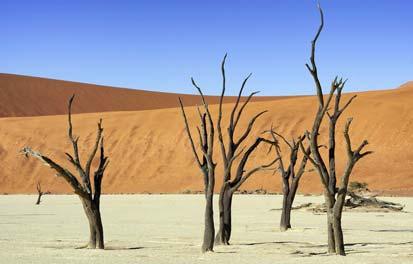 The dunes of the Namib Desert have developed over a period of many millions of years. It is thought that the vast quantities of sand were deposited into the Atlantic Ocean by the Orange River.