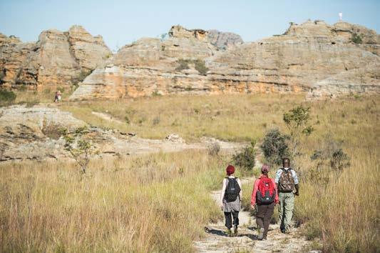 The Isalo National Park protects over 81,000 hectares of widely eroded Jurassic sandstone massif. The grassy plains are surrounded by sandstone ridges.