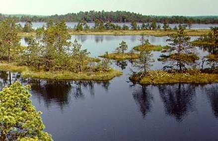 Estonian nature conservation and the European Union From the mid-1990s, nature conservation in Estonia has been