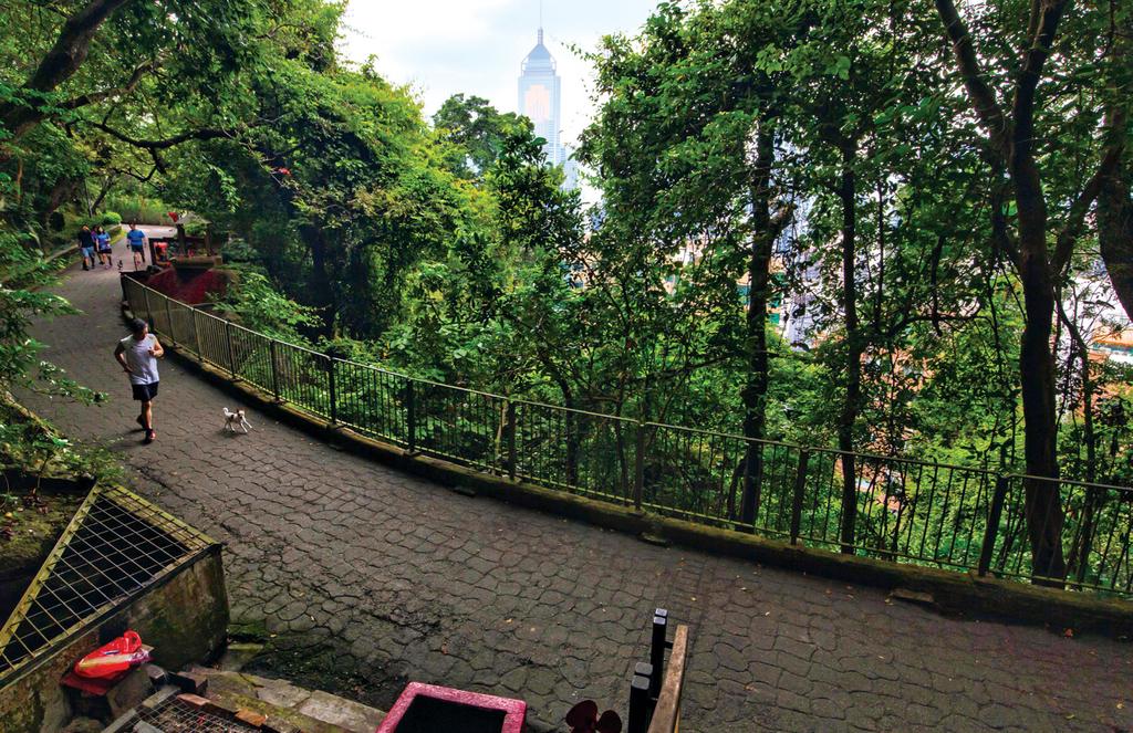 WAN CHAI GAP ROAD A s you find yourself amongst lush greenery along Wan Chai Gap Road, you will be amazed at how close nature is to the bustling neighbourhood of Wan Chai, which showcases some of