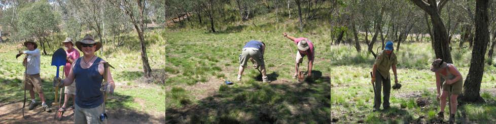 Club Members Gathering Tussock Grass Ably Assisted by NPWS Field Workers we had a team uprooting the tussock in the campground and loading it into a trailer; the trailer was towed to the top of the