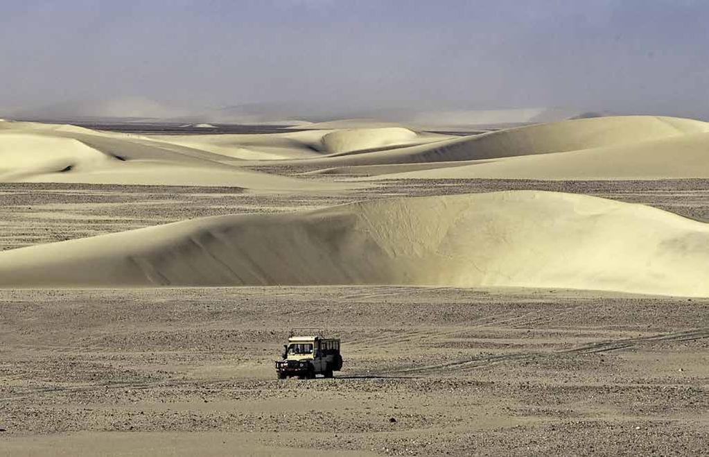 Traversing gravel plains and shifting barchan dunes against