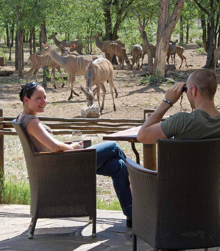 Ongava Tented Camp at a Glance Category:
