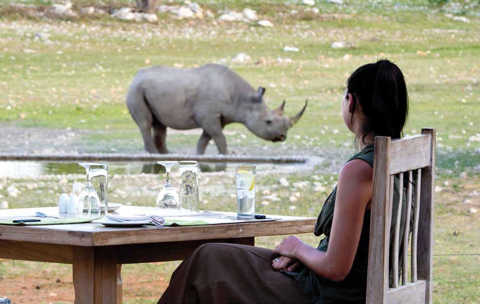 ETOSHA CAMPS Andersson s Camp at a Glance