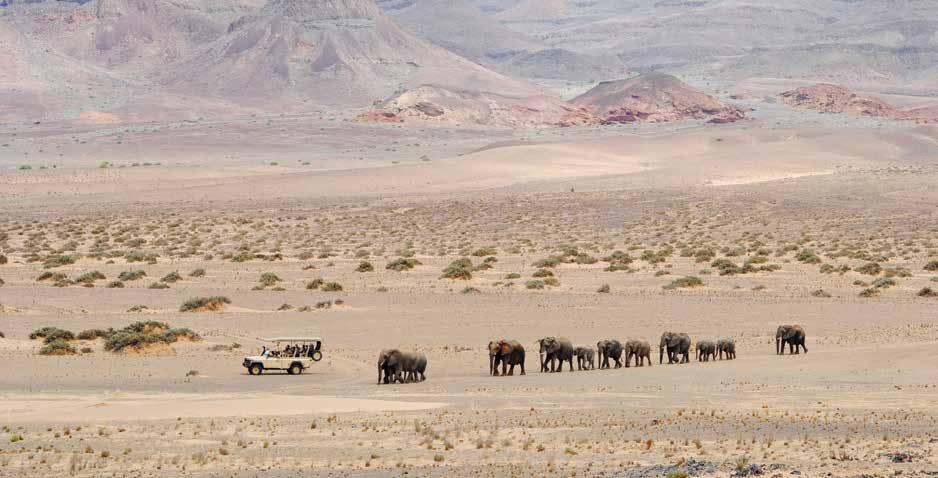 NAMIBIA Explorations Great Namibian Journey Explore the 300m-high dunes of Sossusvlei and the awesome space of the Namib Desert.