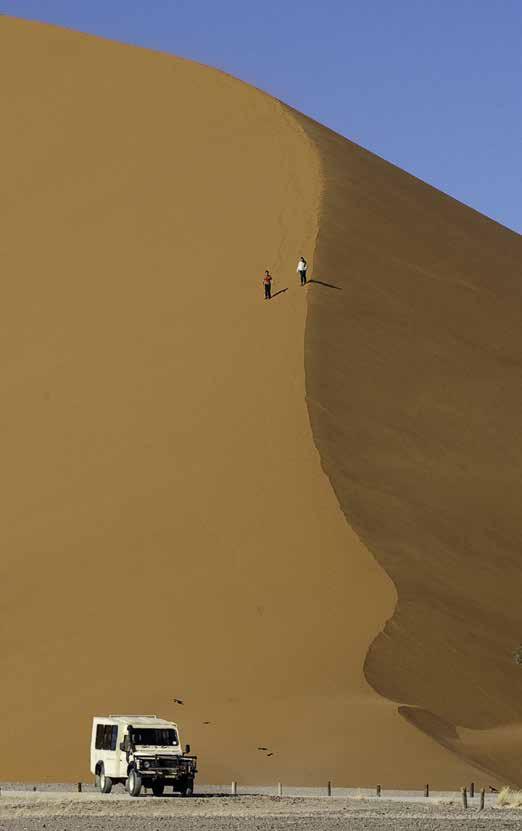 Diverse Namibia Diverse Namibia takes in the soaring red dunes of Sossusvlei, the life-filled blue Atlantic Ocean, the desert and denizens of Damaraland, and the plains game and