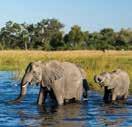 Botswana Home to the unique Okavango Delta, with incredible safari experiences here,