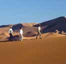 Namibia The world s highest sand dunes, vast conservation areas, desert-adapted