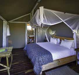 create a sense of exclusive camping in Africa.