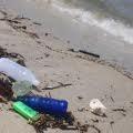 DISADVANTAGES OF TOURISM Litter and rubbish can be left in scenic beach areas,