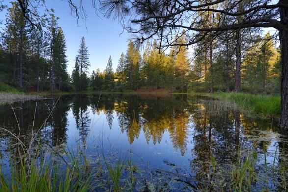 The Property This 300-acre ranch is a rare gem in the Sierra Nevada foothills and is located southeast of the historic gold rush town of Placerville.