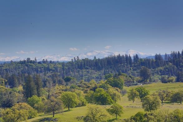 come. The ranch is composed of six parcels, ranging in size from 20 acres to 120 acres. Five of the six parcels are in the Williamson Act, providing for tremendous property tax savings.
