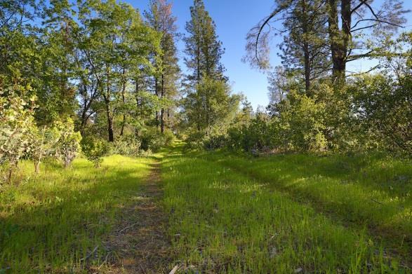 About El Dorado County El Dorado County is one of the most diverse, exciting and beautiful places you ll ever experience.