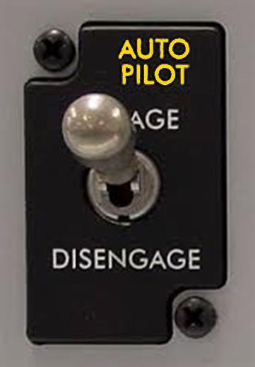 Time to disengage the Autopilot Is your corporate Auto Pilot engaged?