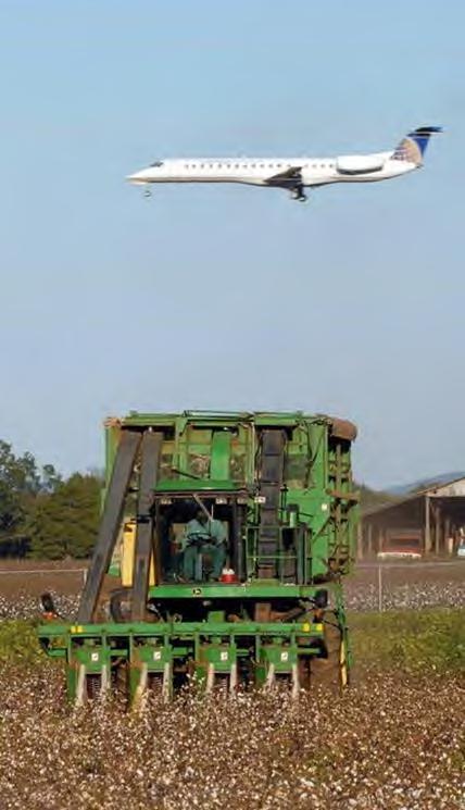 #3: MARÍN INTERNATIONAL AIRPORT Marín currently has no uses in its Runway Protection Zones A local farmer has approached Marín International to grow cannabis in the RPZs and