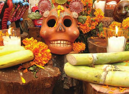 Dance of the Parachicos The Day of the Dead offerings Agave Landscape and Ancient Industrial Facilities of Tequila, Jalisco, recognized by UNESCO as a cultural landscape, the only one of its kind in