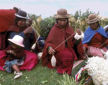 As in the tierra fría, they dress in warm clothing. They plant the few crops that will grow at high elevations, including a native grain called quinoa, along with certain types of potatoes.