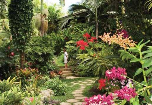Hunte s Garden Visit Situated in the center of Barbados rainforest, at the end of old Castle Grant Plantation where sugar cane used to be processed, Hunte s garden will be sure to excite antiques.
