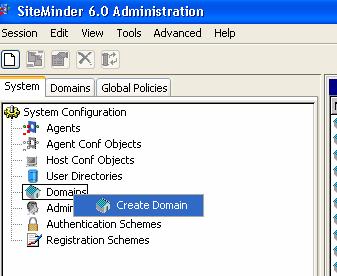 Figure 10. Create Domain 2. Enter a unique name (for example, lccn60-1wa_domain) and description (optional) in the fields provided (see figure 11). 3.