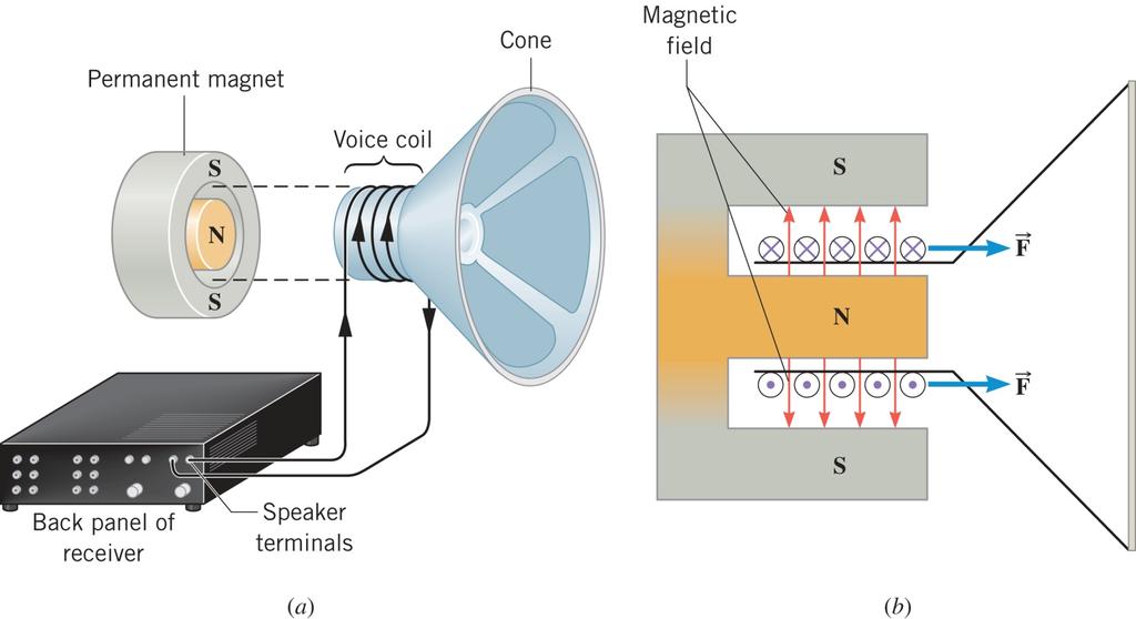 21.5 Sila na struju u magnetskom polju Primjer 5 Sila i ubrzanje u zvučniku Zavojnica zvučnika ima promjer 0,025 m, sadrži 55 namotaja žice i nalazi se u magnetskom polju od 0,10 T.