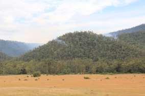 There had been some thunder and lightning overnight and several small fires had started north of Dargo and in Wonnangatta.