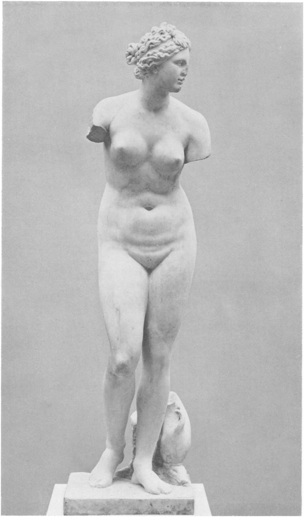T9s~- Statue of Aphrodite, Roman cop) of a Greek work of about 300 B.C.