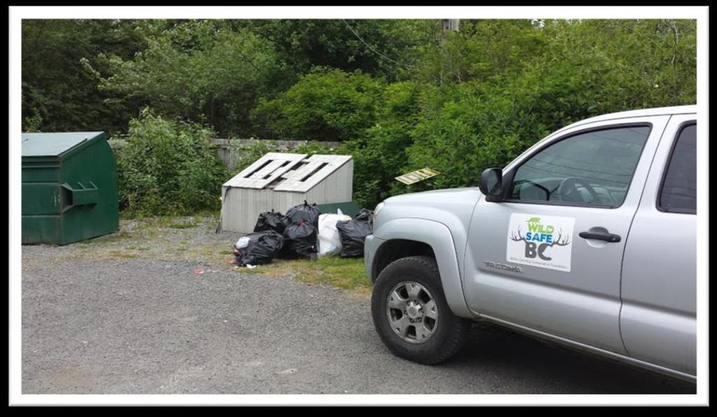Figure 2. Garbage piled up after a long weekend in a Tofino Campground.
