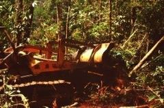 Samling Logging Concession WCS begins engagement Biodiversity Conservation