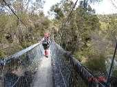 later in a total walk time of 8:30 minutes. Swing Bridge Day 3 Waiopaoa Hut to Panekiri Hut GPS derived data indicate 8.