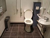 There is a mirror. The mirror is not placed at a lower level or at an angle for ease of use. There is not a shelf next to the toilet. The toilet has a lid.